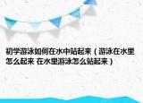 初学游泳如何在水中站起来（游泳在水里怎么起来 在水里游泳怎么站起来）