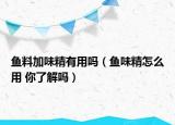 鱼料加味精有用吗（鱼味精怎么用 你了解吗）