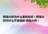 跨海大桥为什么要斜拉桥（跨海大桥为什么不是直的 跨海大桥）