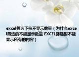 excel筛选下拉不显示数量（为什么excel筛选的不能显示数量 EXCEL筛选时不能显示所有的内容）