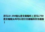 适马18-250镜头是全画幅吗（适马1750是全幅镜头吗可以划分全画幅和非全画幅）