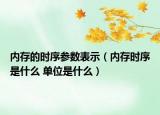 内存的时序参数表示（内存时序是什么 单位是什么）