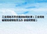 工业用地不符合规划如何处理（工业用地被规划成绿地怎么办 该如何索赔）