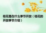 桂花是在什么季节开放（桂花的开放季节介绍）