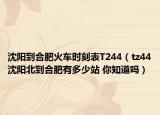 沈阳到合肥火车时刻表T244（tz44沈阳北到合肥有多少站 你知道吗）