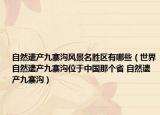 自然遗产九寨沟风景名胜区有哪些（世界自然遗产九寨沟位于中国那个省 自然遗产九寨沟）