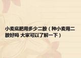 小麦底肥用多少二胺（种小麦用二胺好吗 大家可以了解一下）