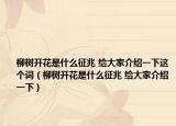 柳树开花是什么征兆 给大家介绍一下这个词（柳树开花是什么征兆 给大家介绍一下）