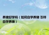 养猪好学吗（如何自学养猪 怎样自学养猪）