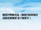 散尾竹种植方法（散尾竹的养殖方法和注意事项 你了解多少）