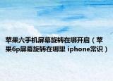 苹果六手机屏幕旋转在哪开启（苹果6p屏幕旋转在哪里 iphone常识）