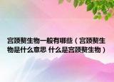 宫颈赘生物一般有哪些（宫颈赘生物是什么意思 什么是宫颈赘生物）