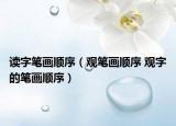 读字笔画顺序（观笔画顺序 观字的笔画顺序）