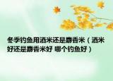 冬季钓鱼用酒米还是麝香米（酒米好还是麝香米好 哪个钓鱼好）