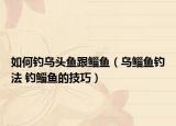 如何钓乌头鱼跟鲻鱼（乌鲻鱼钓法 钓鲻鱼的技巧）
