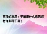 苗种的意思（干苗是什么意思啊 有许多种干苗）