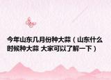 今年山东几月份种大蒜（山东什么时候种大蒜 大家可以了解一下）
