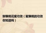 猕猴桃花蜜功效（蜜猴桃的功效 你知道吗）
