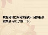 属相猪可以带猪饰品吗（猪饰品佩戴禁忌 可以了解一下）