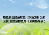 旗鱼和蓝鳍金枪鱼（旗鱼为什么那么贵 蓝鳍金枪鱼为什么价格昂贵）