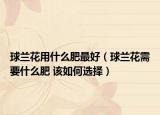 球兰花用什么肥最好（球兰花需要什么肥 该如何选择）