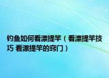 钓鱼如何看漂提竿（看漂提竿技巧 看漂提竿的窍门）