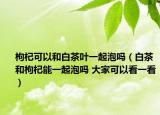 枸杞可以和白茶叶一起泡吗（白茶和枸杞能一起泡吗 大家可以看一看）