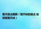 蟹爪画法图解（蟹爪枝的画法 如何画蟹爪枝）