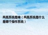 凤凰系统是啥（凤凰系统是什么 是哪个操作系统）