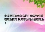 小溪里石斑鱼怎么钓（秋天钓小溪石斑鱼技巧 秋天怎么钓小溪石斑鱼）