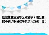 刚出生的宝宝怎么取名字（刚出生的小孩子取名程序及技巧方法一览）