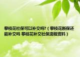 攀枝花社保可以补交吗?（攀枝花断保还能补交吗 攀枝花补交社保流程资料）