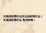 大海深处有什么什么深处有什么（大海深处有什么 有点好奇）