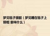梦见毯子很脏（梦见睡在毯子上照相 意味什么）