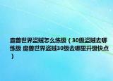 魔兽世界盗贼怎么练级（30级盗贼去哪练级 魔兽世界盗贼30级去哪里升级快点）