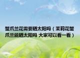 蟹爪兰花需要晒太阳吗（茉莉花蟹爪兰能晒太阳吗 大家可以看一看）