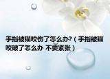 手指被猫咬伤了怎么办?（手指被猫咬破了怎么办 不要紧张）