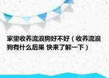 家里收养流浪狗好不好（收养流浪狗有什么后果 快来了解一下）