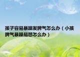 孩子容易暴躁发脾气怎么办（小孩脾气暴躁易怒怎么办）