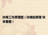 扶梯工作原理图（扶梯的原理 快来看看）