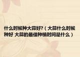 什么时候种大蒜好?（大蒜什么时候种好 大蒜的最佳种植时间是什么）