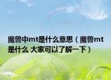 魔兽中mt是什么意思（魔兽mt是什么 大家可以了解一下）