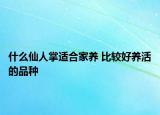 什么仙人掌适合家养 比较好养活的品种