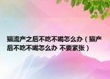 猫流产之后不吃不喝怎么办（猫产后不吃不喝怎么办 不要紧张）