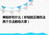 蝲蛄虾吃什么（虾蛄的正确吃法 两个方法教给大家）