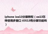 iphone ios13分屏教程（os13怎样使用多窗口 iOS13有分屏功能吗）