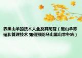 养黑山羊的技术大全及其防疫（黑山羊养殖和管理技术 如何预防马山黑山羊冬痢）