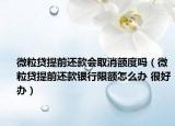 微粒贷提前还款会取消额度吗（微粒贷提前还款银行限额怎么办 很好办）