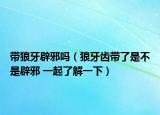 带狼牙辟邪吗（狼牙齿带了是不是辟邪 一起了解一下）