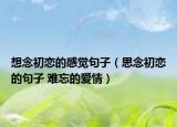 想念初恋的感觉句子（思念初恋的句子 难忘的爱情）